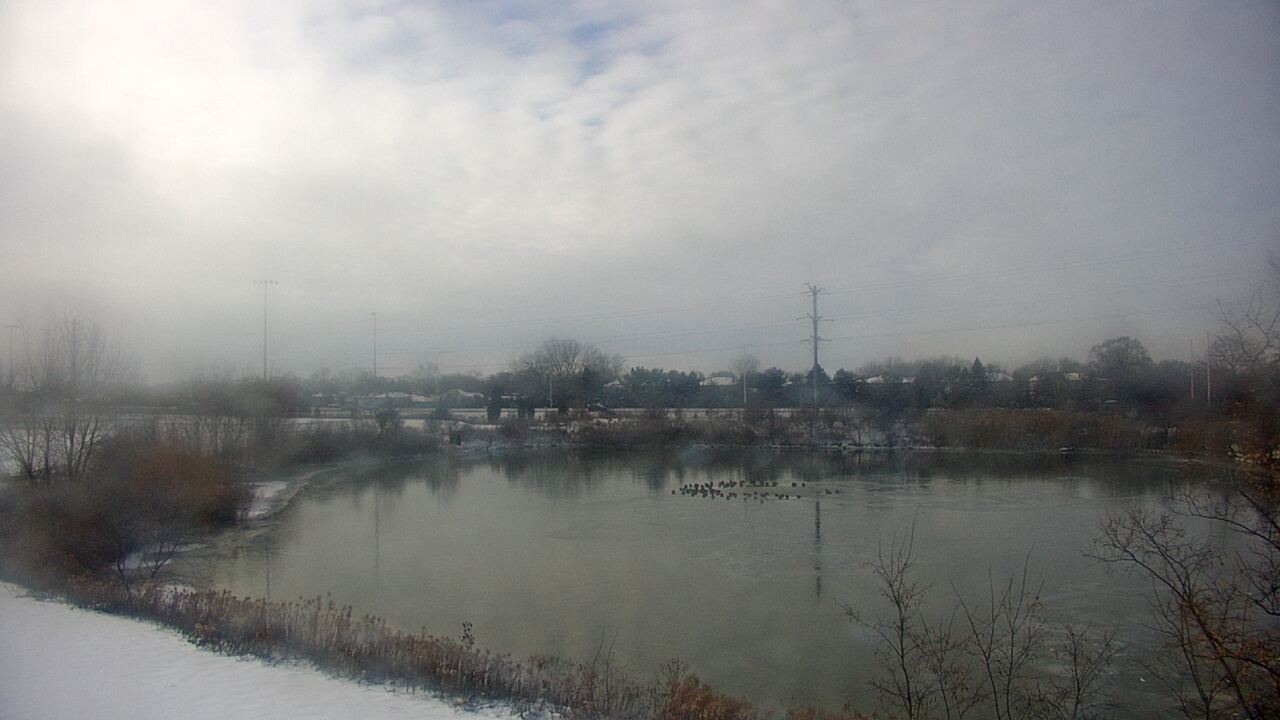 Thumbnail for current weather camera view from Colin Powell MS in Matteson, Illinois