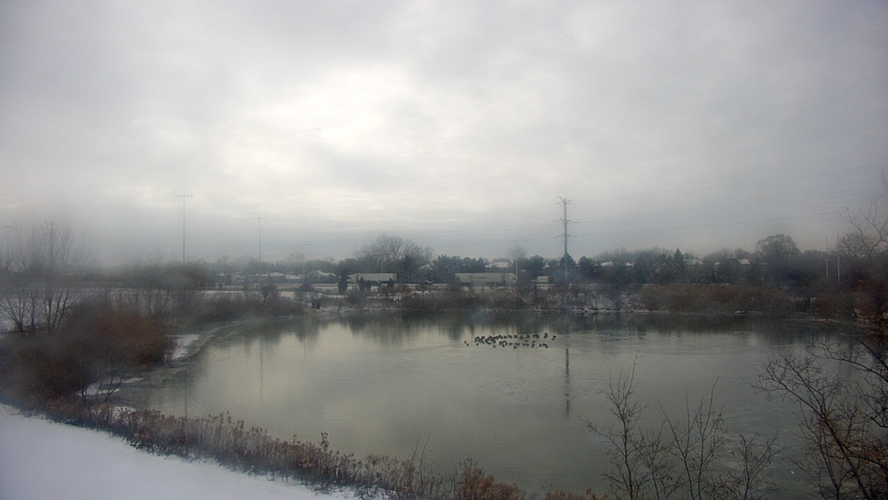 Thumbnail for current weather camera view from Colin Powell MS in Matteson, Illinois