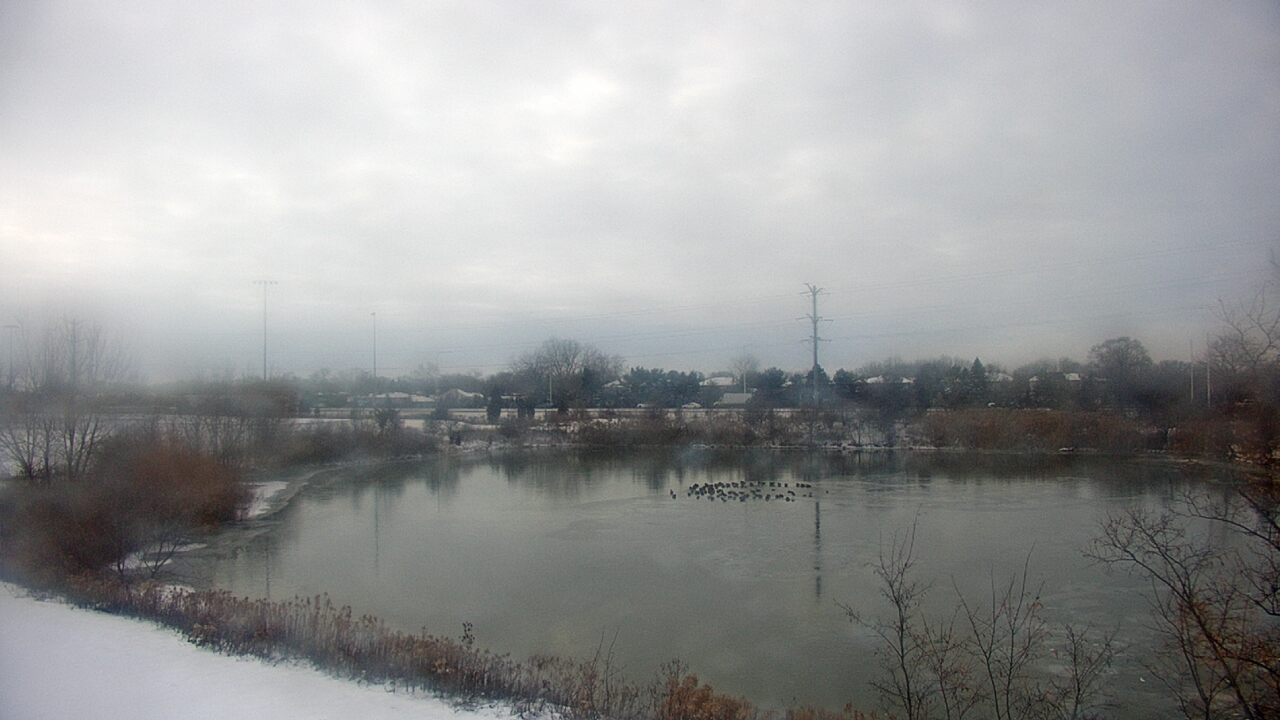 Thumbnail for current weather camera view from Colin Powell MS in Matteson, Illinois