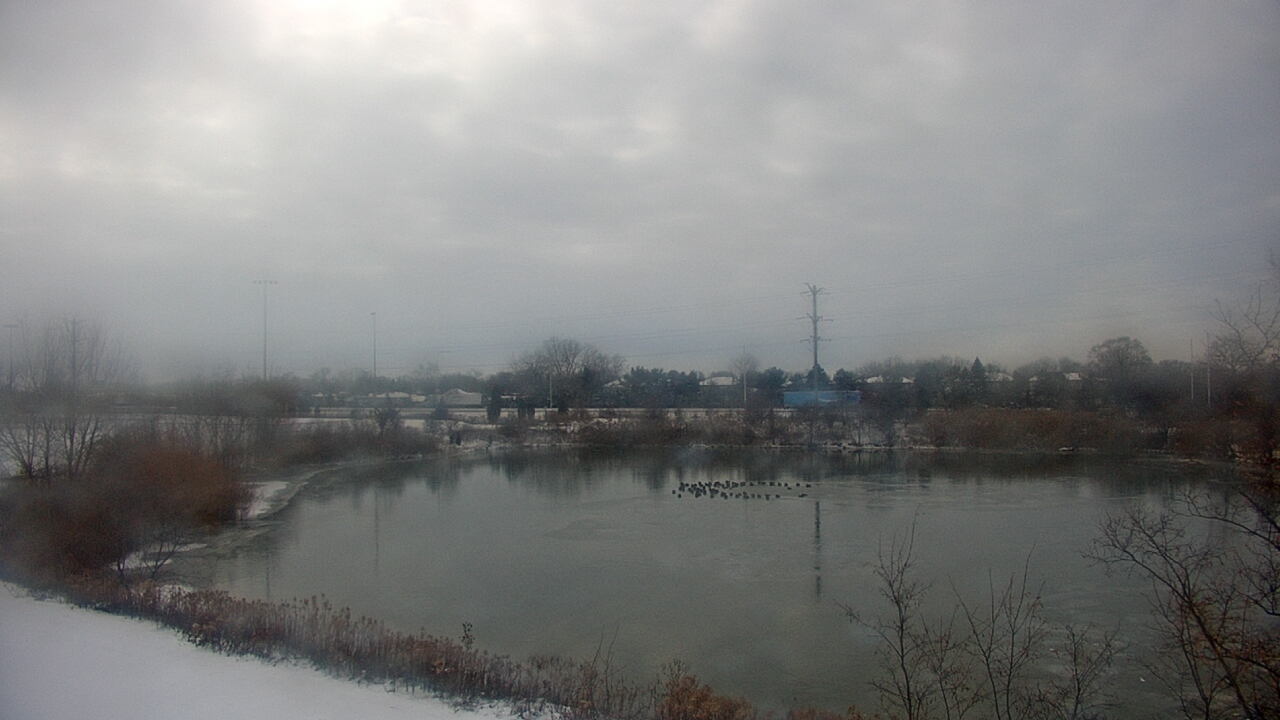 Thumbnail for current weather camera view from Colin Powell MS in Matteson, Illinois