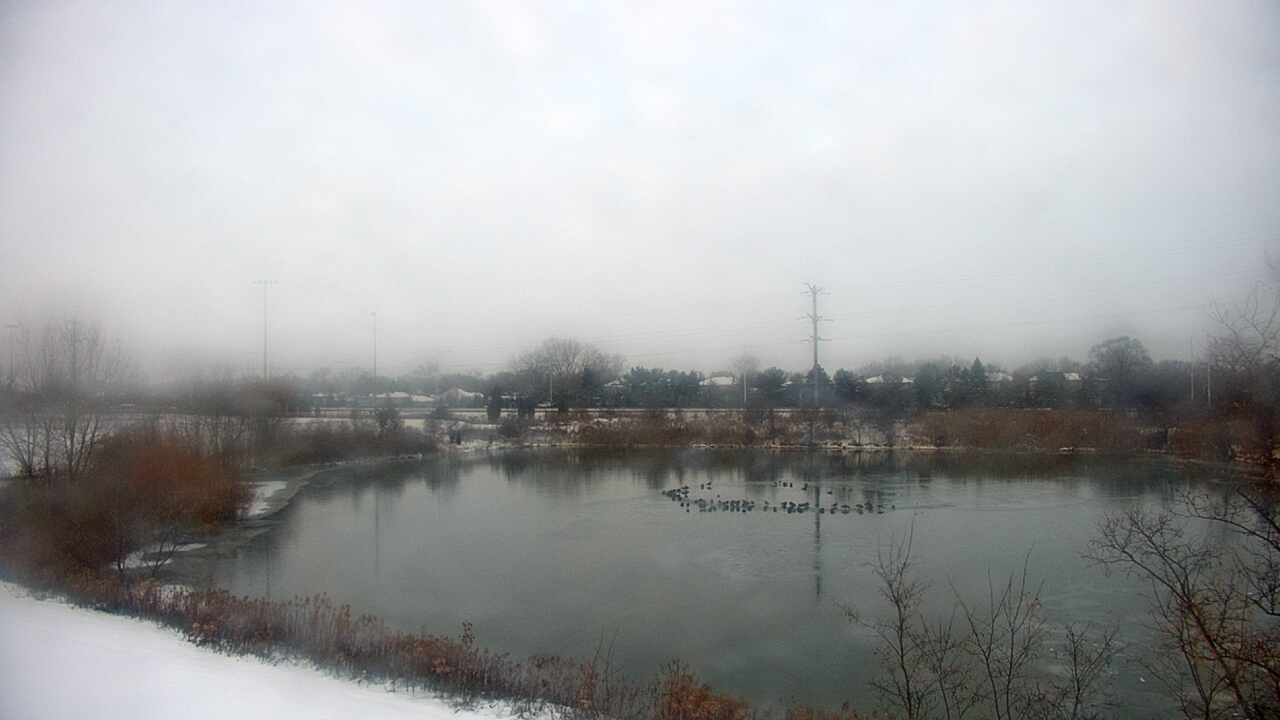 Thumbnail for current weather camera view from Colin Powell MS in Matteson, Illinois