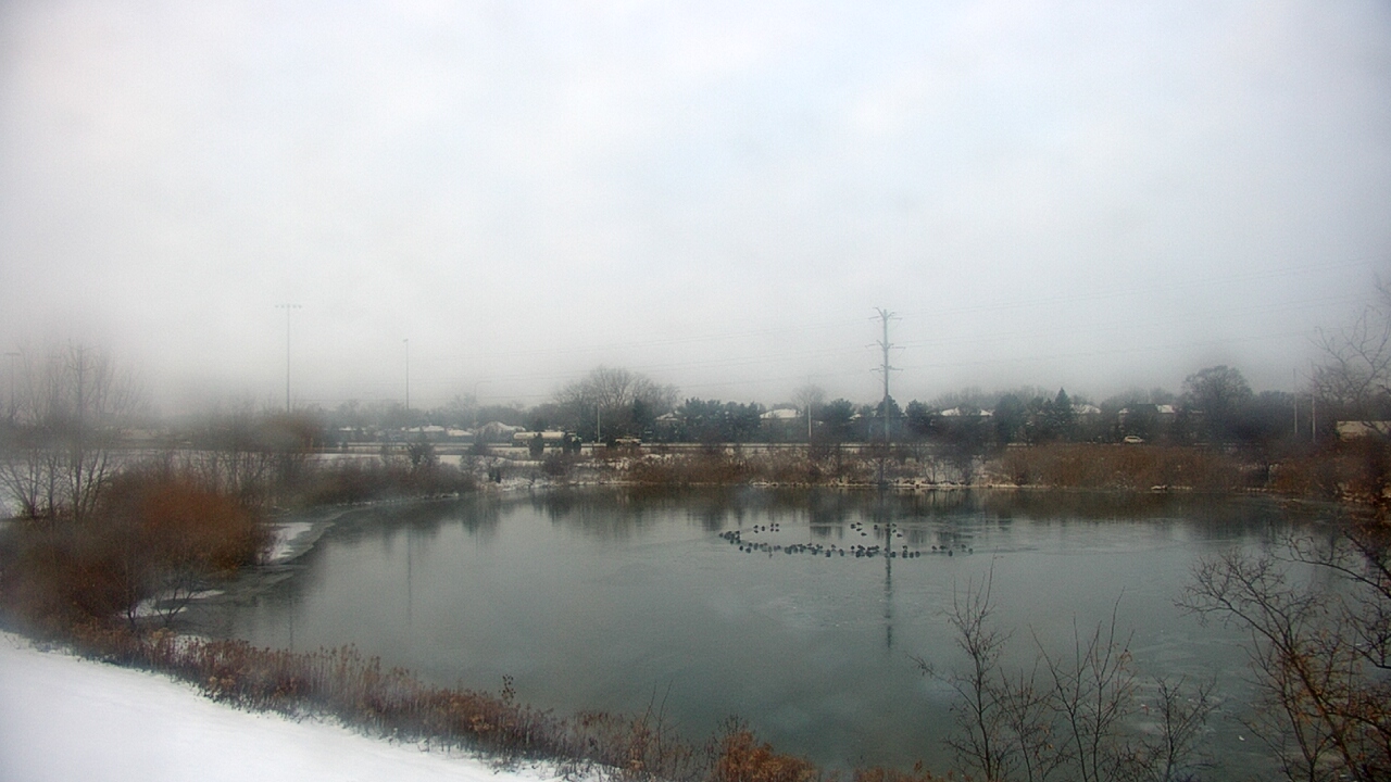 Thumbnail for current weather camera view from Colin Powell MS in Matteson, Illinois