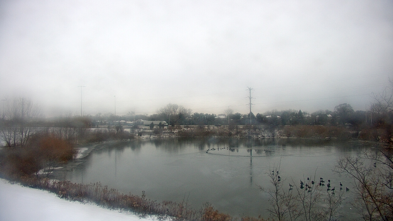 Thumbnail for current weather camera view from Colin Powell MS in Matteson, Illinois