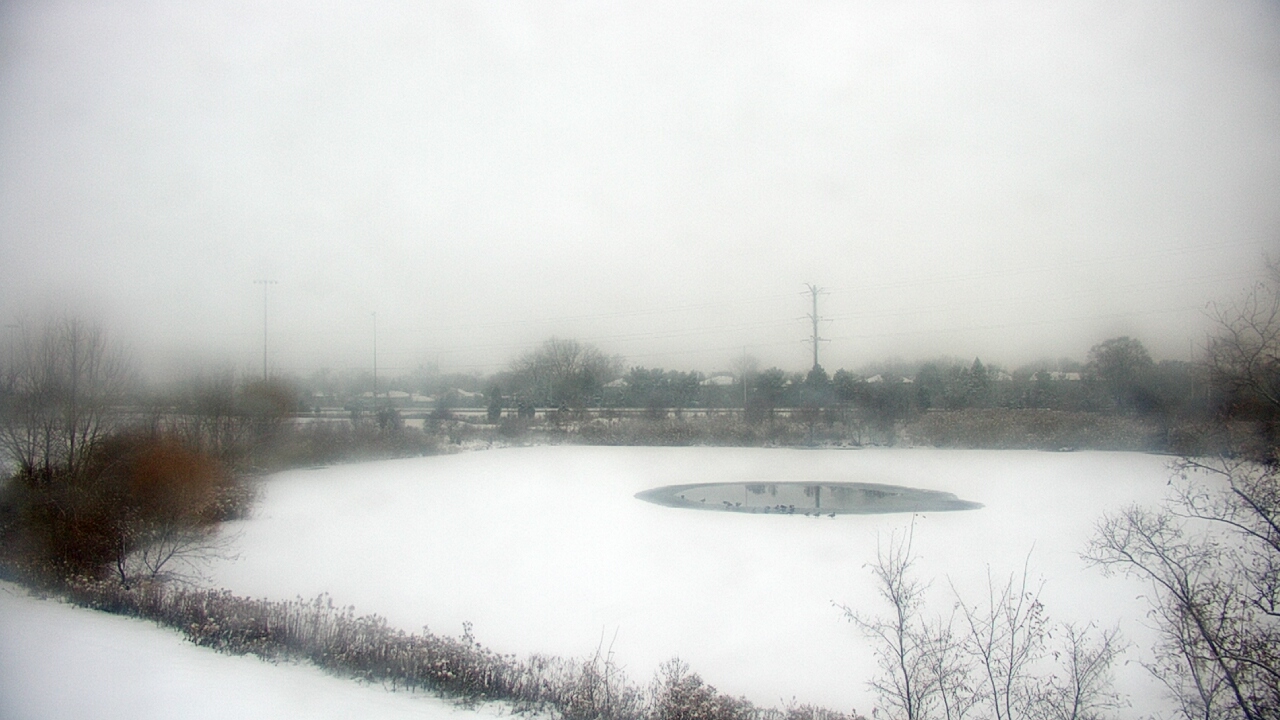 Thumbnail for current weather camera view from Colin Powell MS in Matteson, Illinois