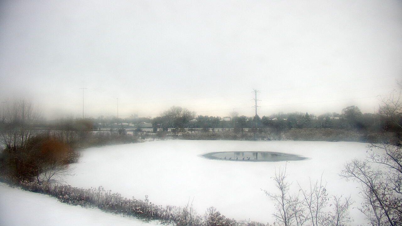 Thumbnail for current weather camera view from Colin Powell MS in Matteson, Illinois