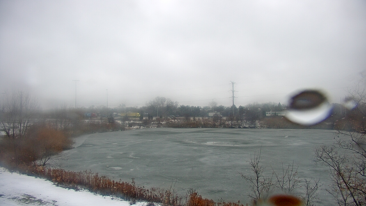 Thumbnail for current weather camera view from Colin Powell MS in Matteson, Illinois