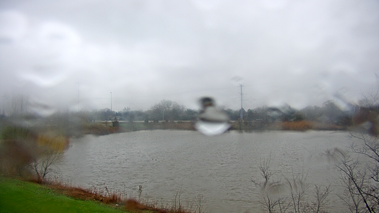 Thumbnail for current weather camera view from Colin Powell MS in Matteson, Illinois
