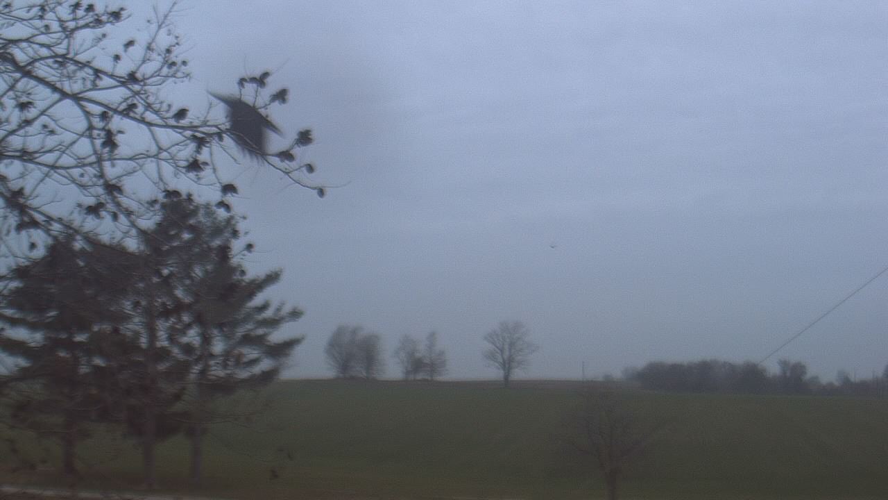 Thumbnail for current weather camera view from Farmersville School in Mount Vernon, Indiana