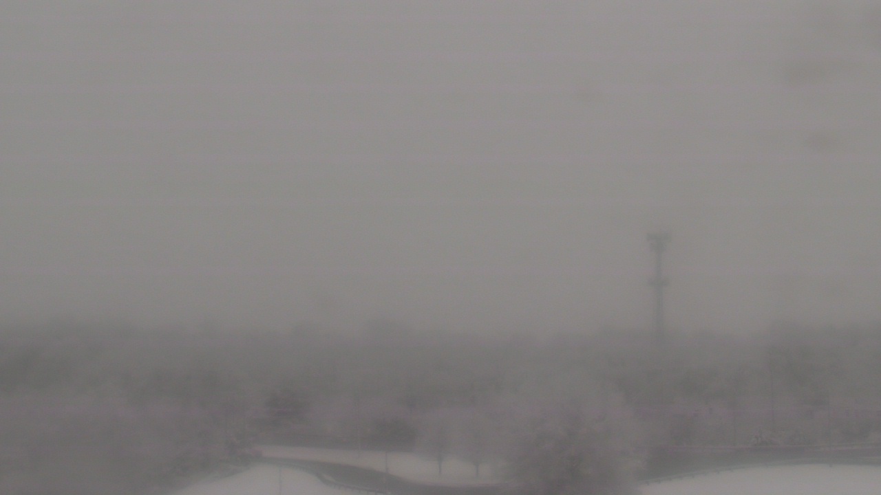 Thumbnail for current weather camera view from Cecil College in North East, Maryland