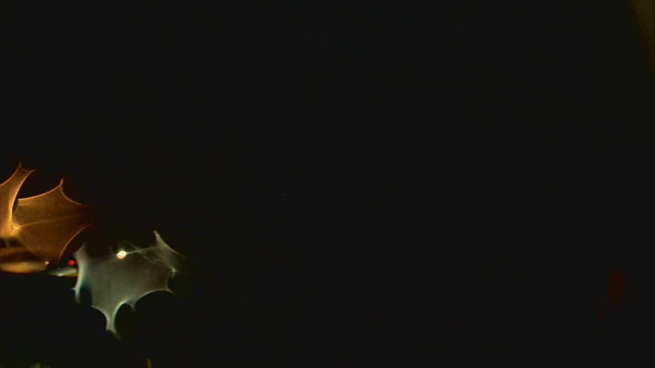 Thumbnail for current weather camera view from John M Moriarty ES in Norwich, Connecticut