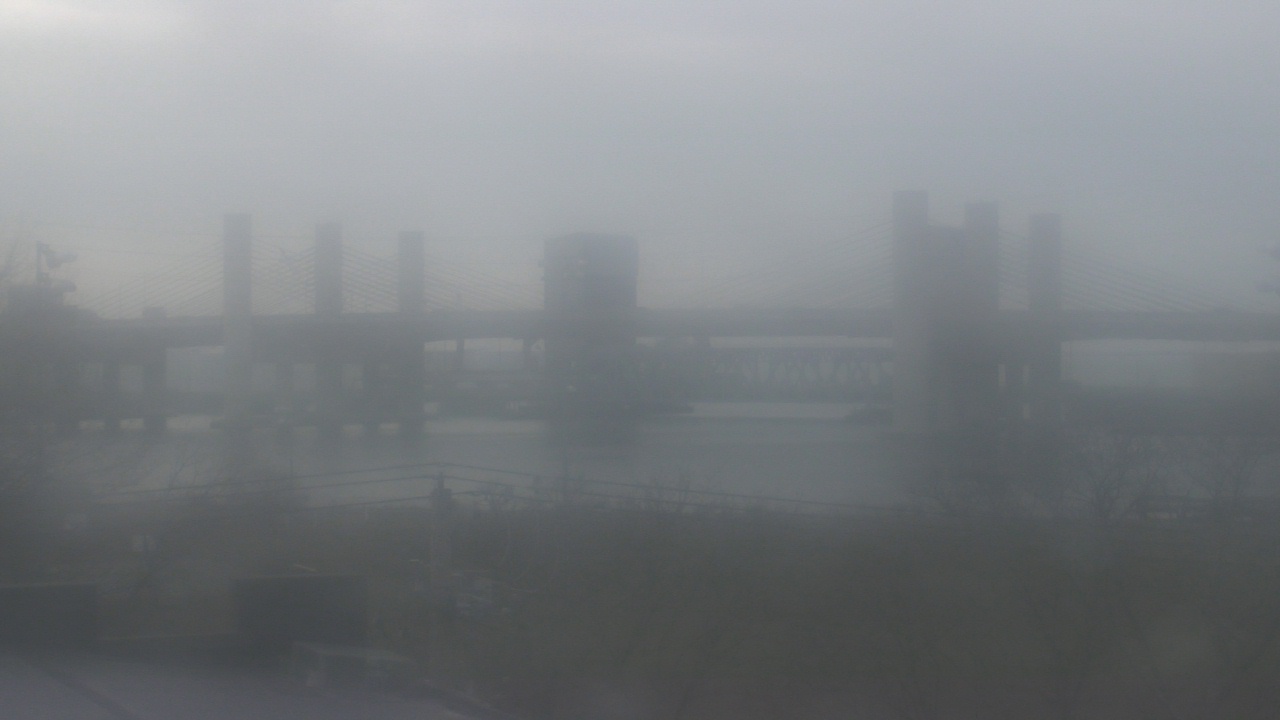 Thumbnail for current weather camera view from Cold Spring School in New Haven, Connecticut