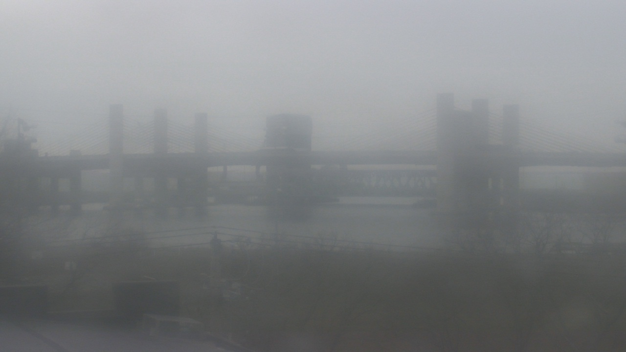 Thumbnail for current weather camera view from Cold Spring School in New Haven, Connecticut