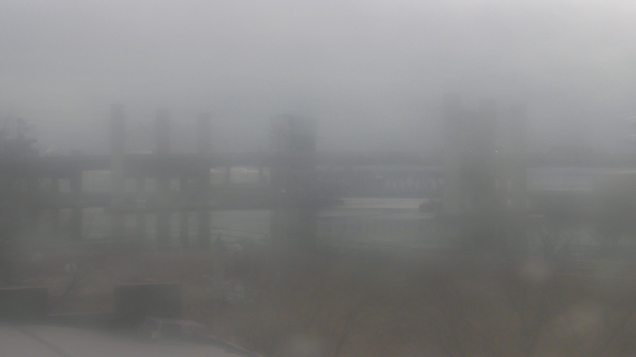 Thumbnail for current weather camera view from Cold Spring School in New Haven, Connecticut