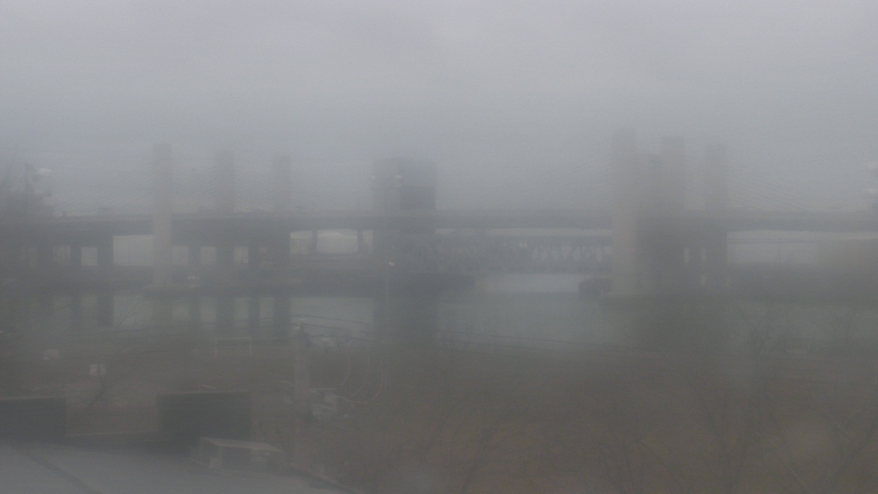 Thumbnail for current weather camera view from Cold Spring School in New Haven, Connecticut