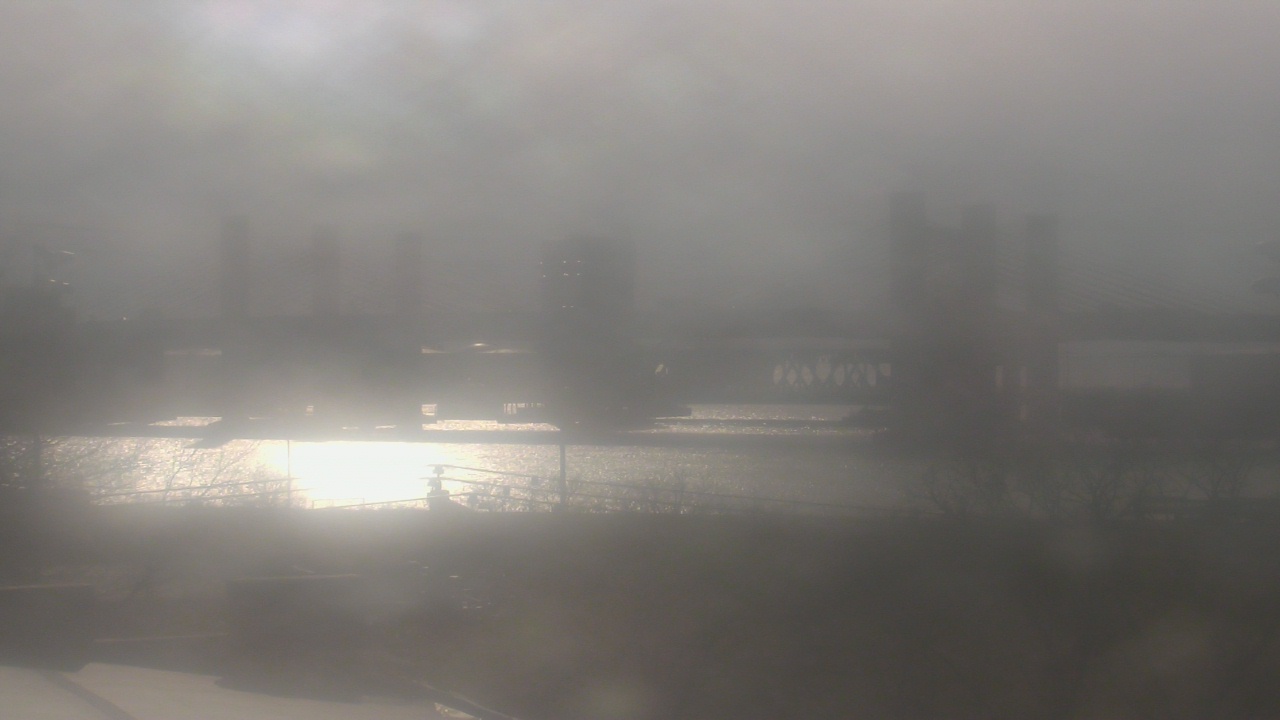 Thumbnail for current weather camera view from Cold Spring School in New Haven, Connecticut