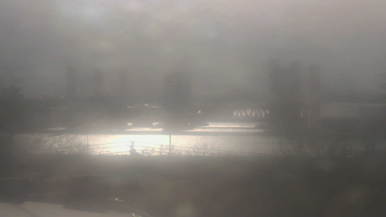 Thumbnail for current weather camera view from Cold Spring School in New Haven, Connecticut