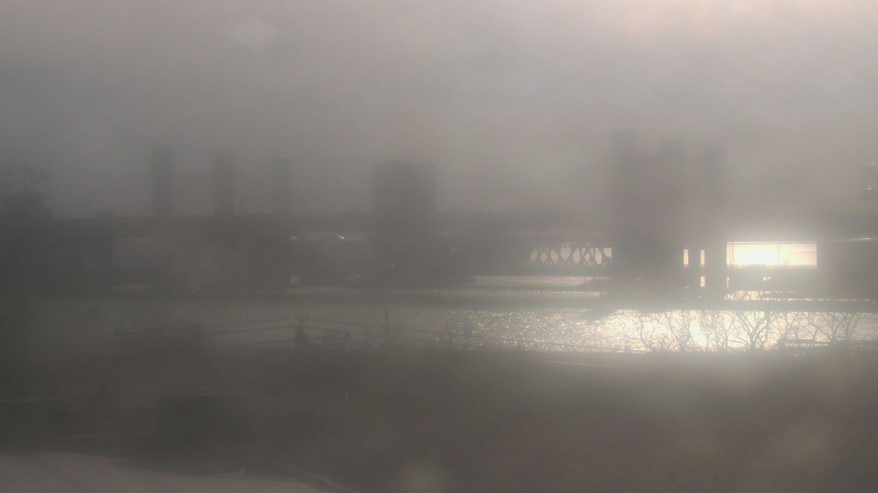 Thumbnail for current weather camera view from Cold Spring School in New Haven, Connecticut