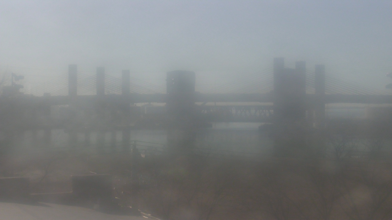 Thumbnail for current weather camera view from Cold Spring School in New Haven, Connecticut