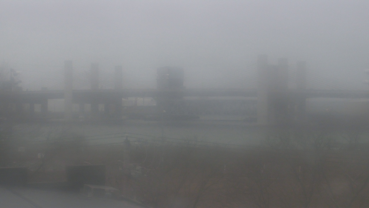 Thumbnail for current weather camera view from Cold Spring School in New Haven, Connecticut