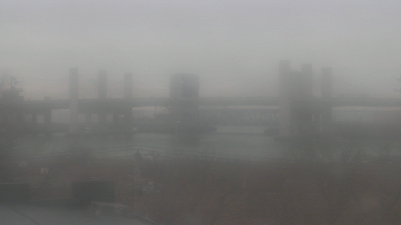 Thumbnail for current weather camera view from Cold Spring School in New Haven, Connecticut