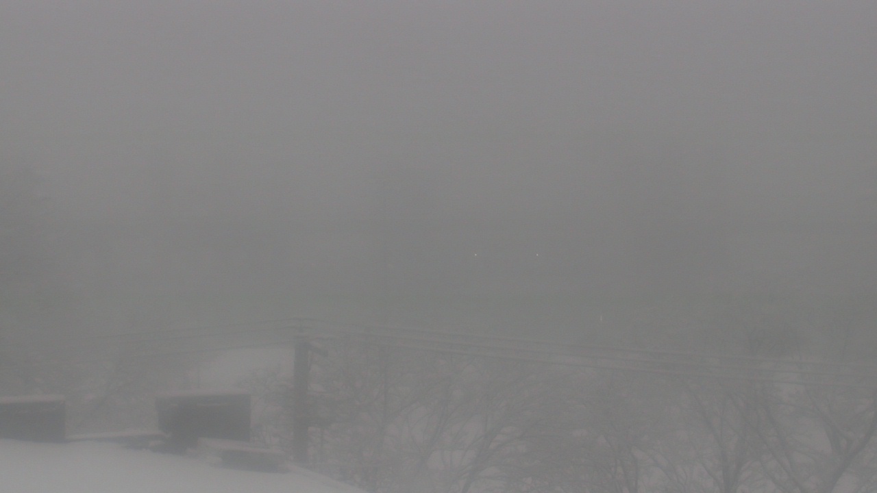 Thumbnail for current weather camera view from Cold Spring School in New Haven, Connecticut