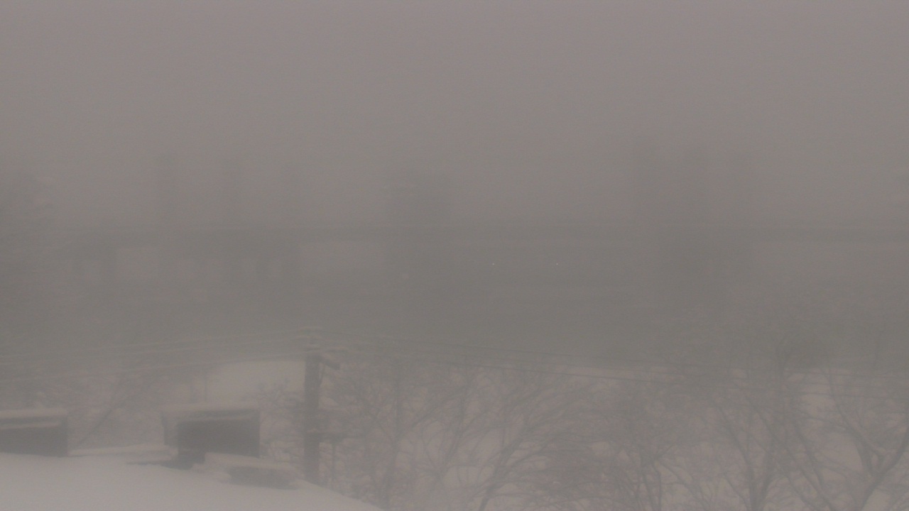 Thumbnail for current weather camera view from Cold Spring School in New Haven, Connecticut