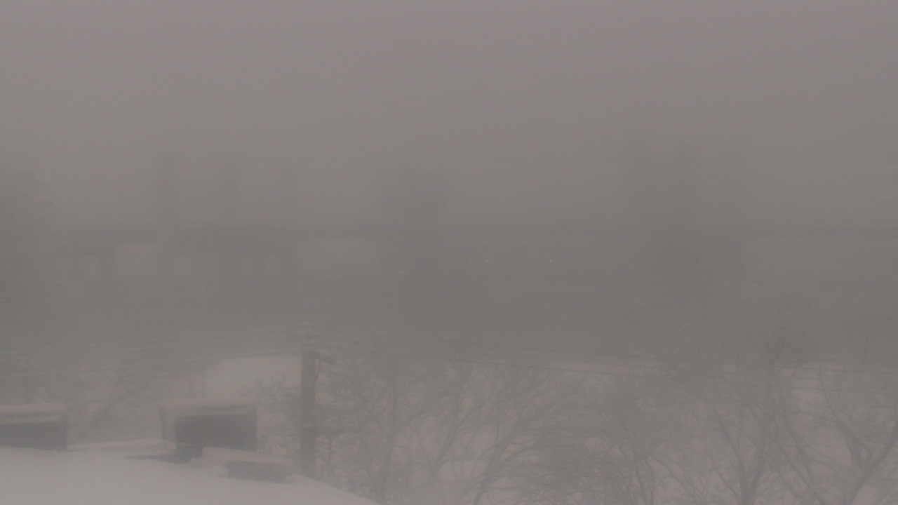 Thumbnail for current weather camera view from Cold Spring School in New Haven, Connecticut