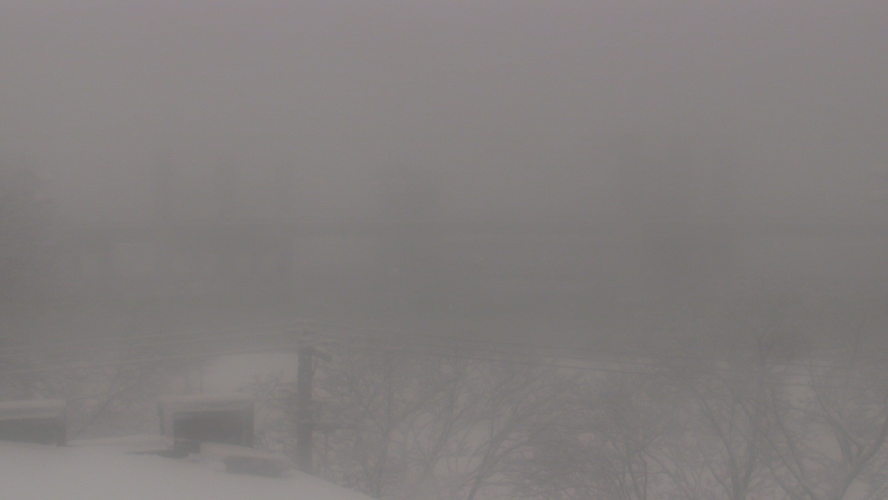 Thumbnail for current weather camera view from Cold Spring School in New Haven, Connecticut