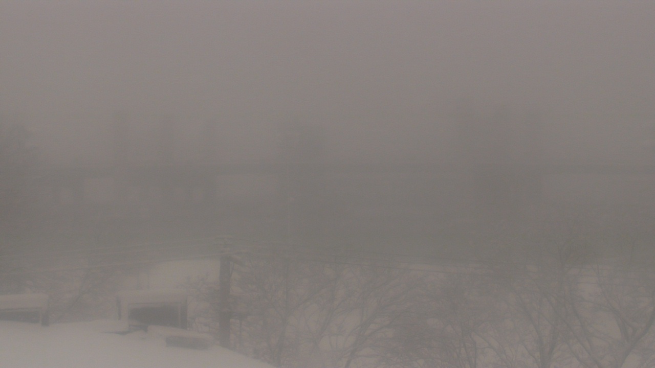 Thumbnail for current weather camera view from Cold Spring School in New Haven, Connecticut