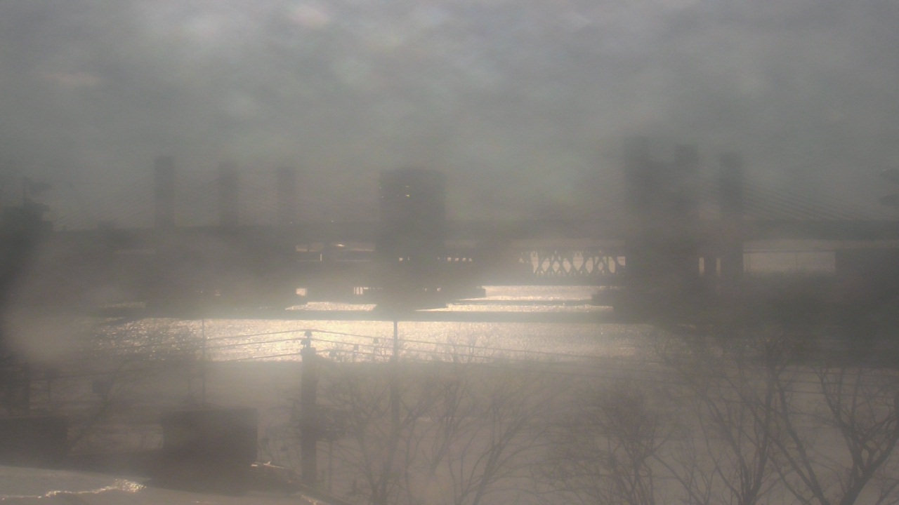 Thumbnail for current weather camera view from Cold Spring School in New Haven, Connecticut