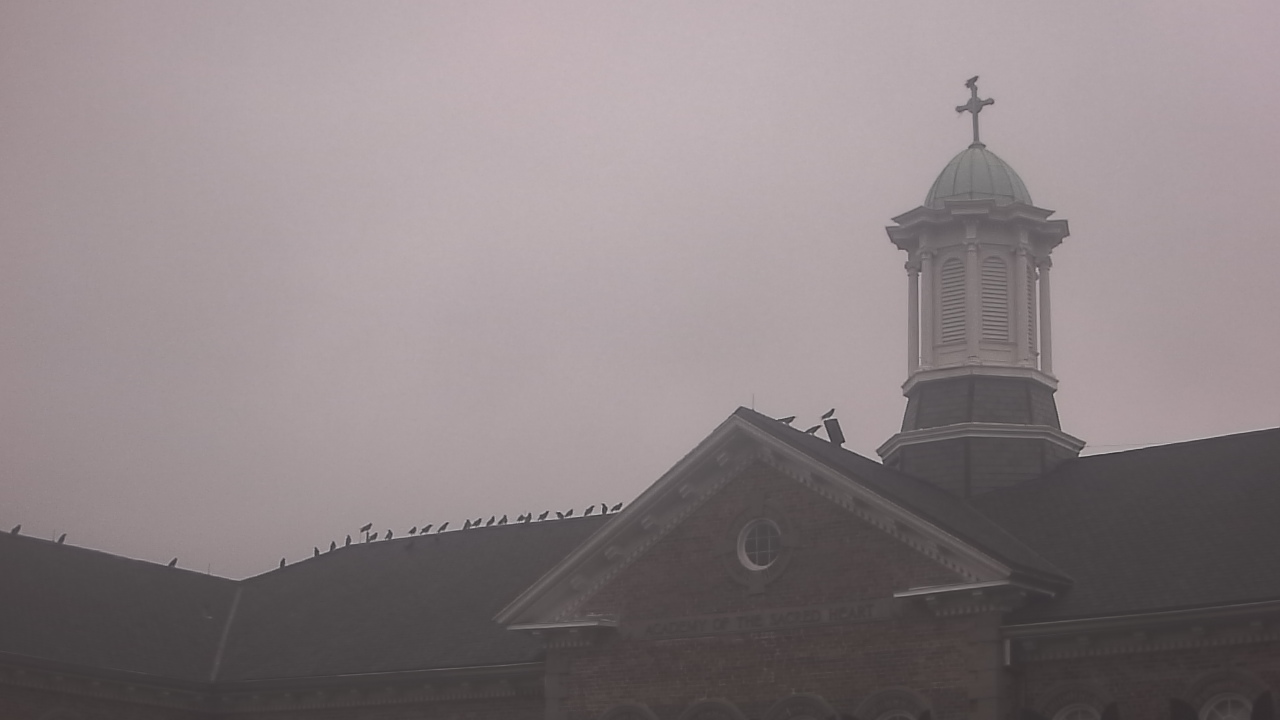 Thumbnail for current weather camera view from Academy Of The Sacred Heart in New Orleans, Louisiana