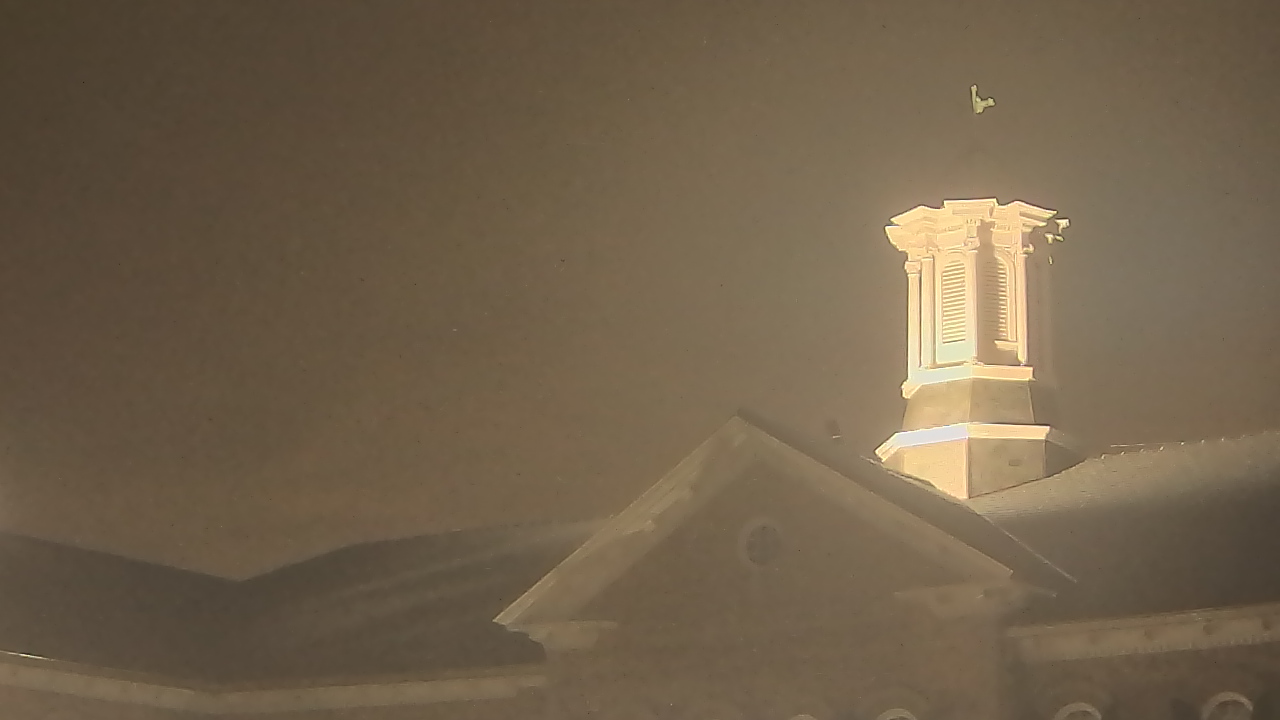 Thumbnail for current weather camera view from Academy Of The Sacred Heart in New Orleans, Louisiana