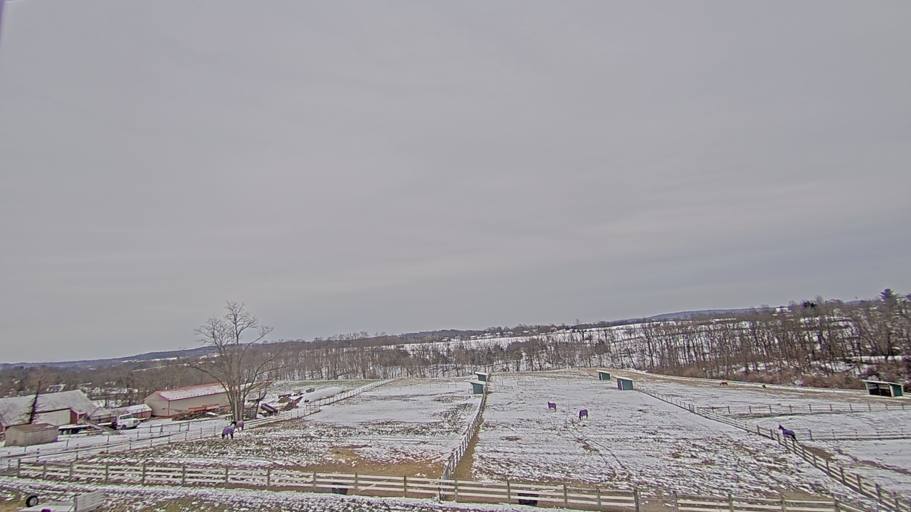 Thumbnail for current weather camera view from Orchard Hill in Hummelstown, Pennsylvania