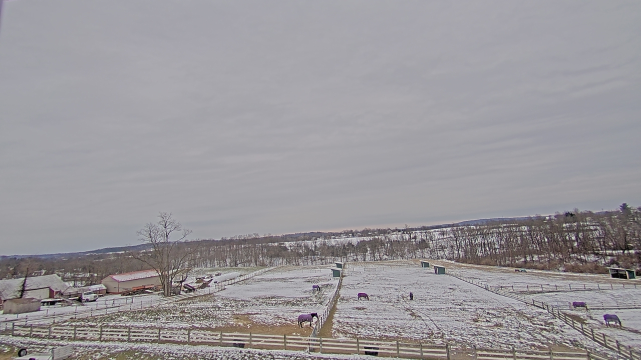 Thumbnail for current weather camera view from Orchard Hill in Hummelstown, Pennsylvania