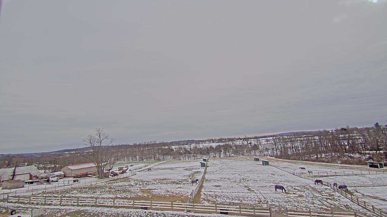 Thumbnail for current weather camera view from Orchard Hill in Hummelstown, Pennsylvania