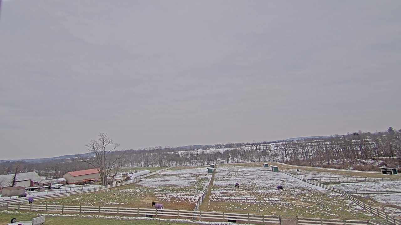 Thumbnail for current weather camera view from Orchard Hill in Hummelstown, Pennsylvania