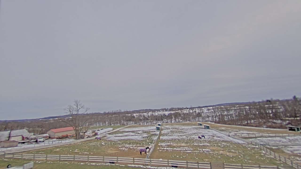 Thumbnail for current weather camera view from Orchard Hill in Hummelstown, Pennsylvania