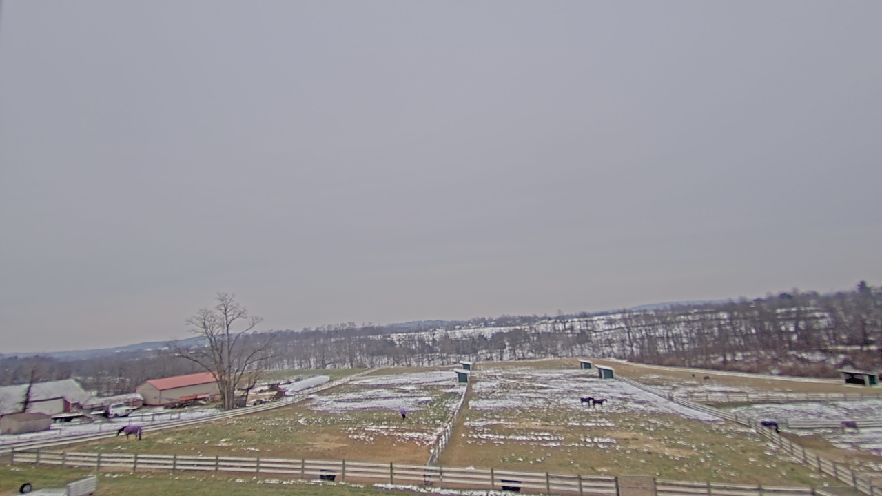 Thumbnail for current weather camera view from Orchard Hill in Hummelstown, Pennsylvania