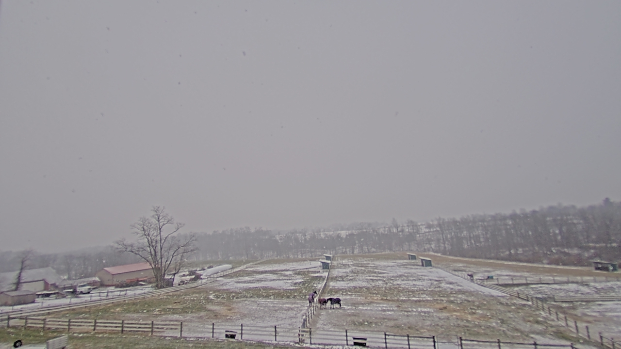 Thumbnail for current weather camera view from Orchard Hill in Hummelstown, Pennsylvania