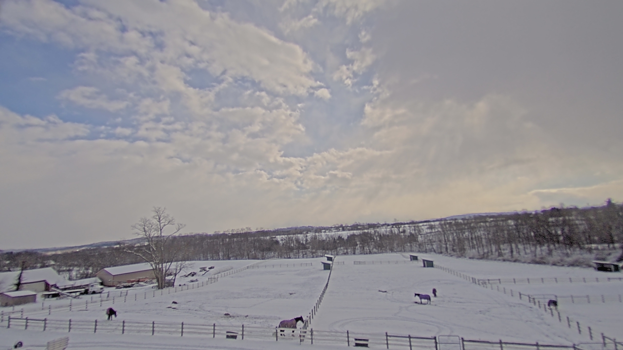 Thumbnail for current weather camera view from Orchard Hill in Hummelstown, Pennsylvania