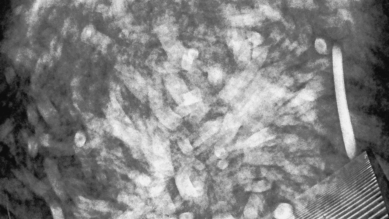 Thumbnail for current weather camera view from Callawassie Island Club in Okatie, South Carolina