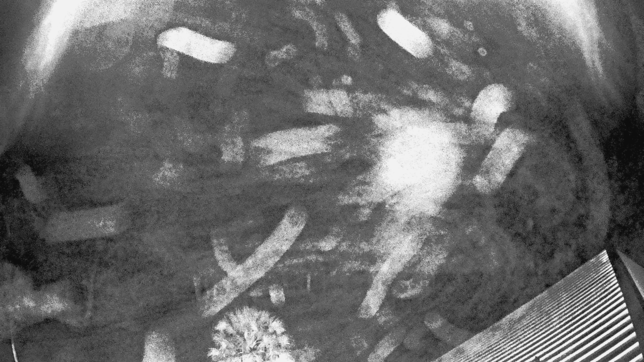 Thumbnail for current weather camera view from Callawassie Island Club in Okatie, South Carolina