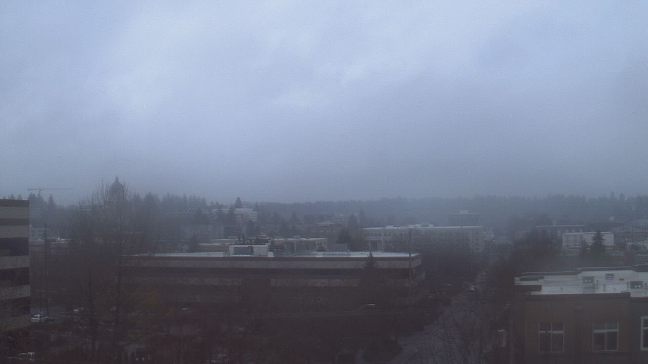 Thumbnail for current weather camera view from Avanti HS in Olympia, Washington