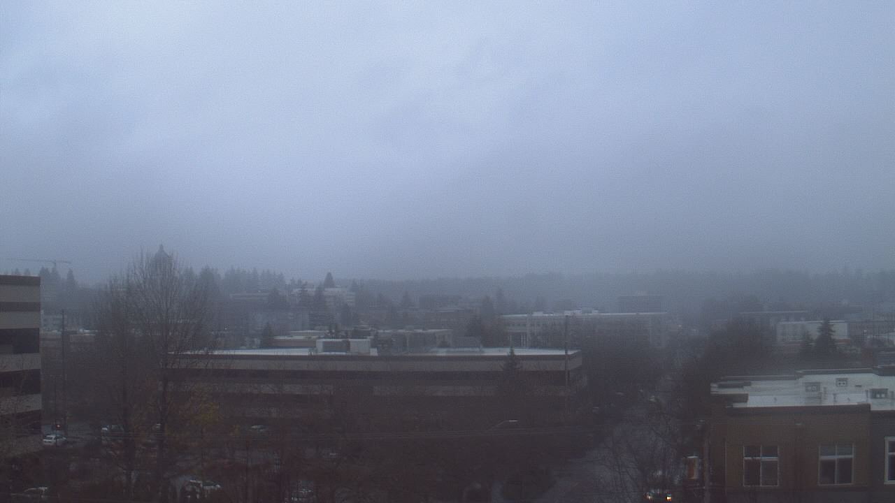 Thumbnail for current weather camera view from Avanti HS in Olympia, Washington