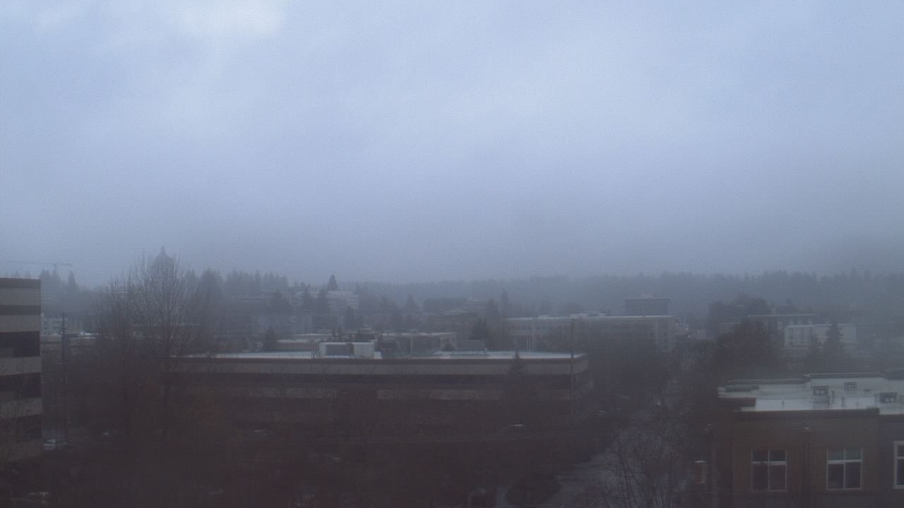 Thumbnail for current weather camera view from Avanti HS in Olympia, Washington