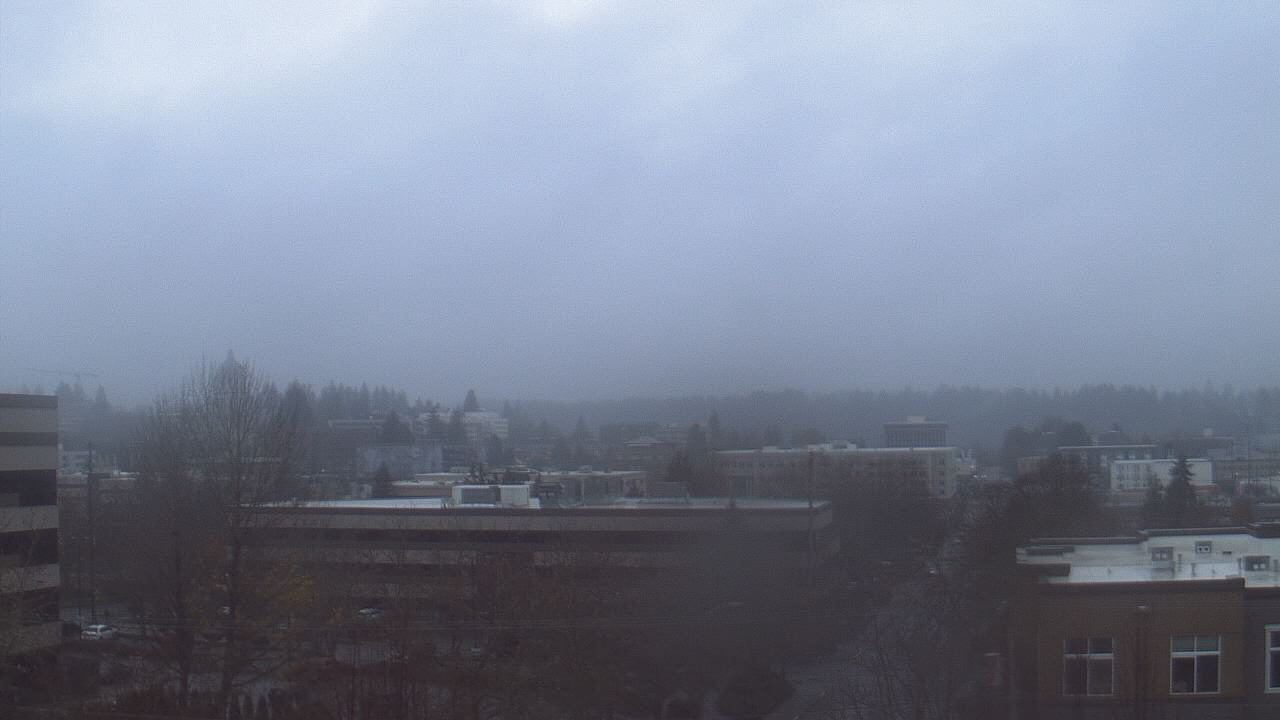 Thumbnail for current weather camera view from Avanti HS in Olympia, Washington