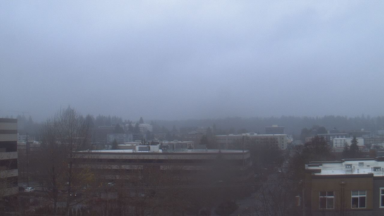 Thumbnail for current weather camera view from Avanti HS in Olympia, Washington
