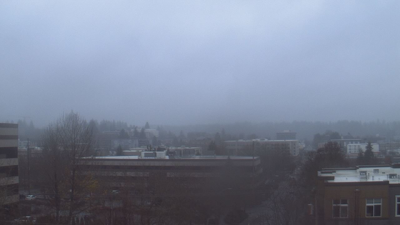 Thumbnail for current weather camera view from Avanti HS in Olympia, Washington