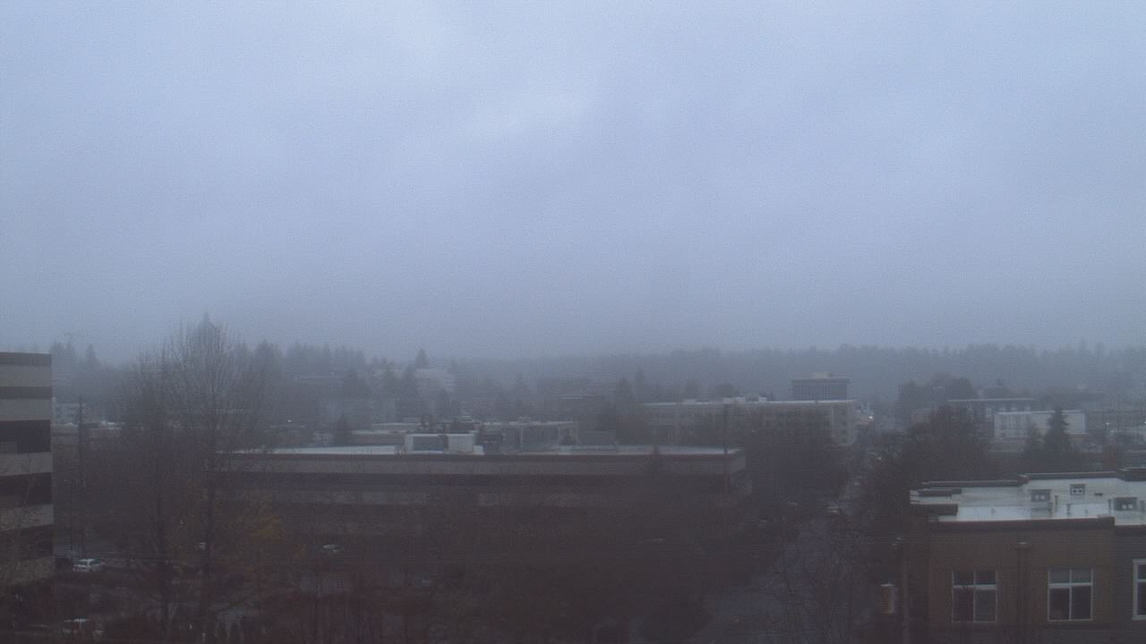 Thumbnail for current weather camera view from Avanti HS in Olympia, Washington