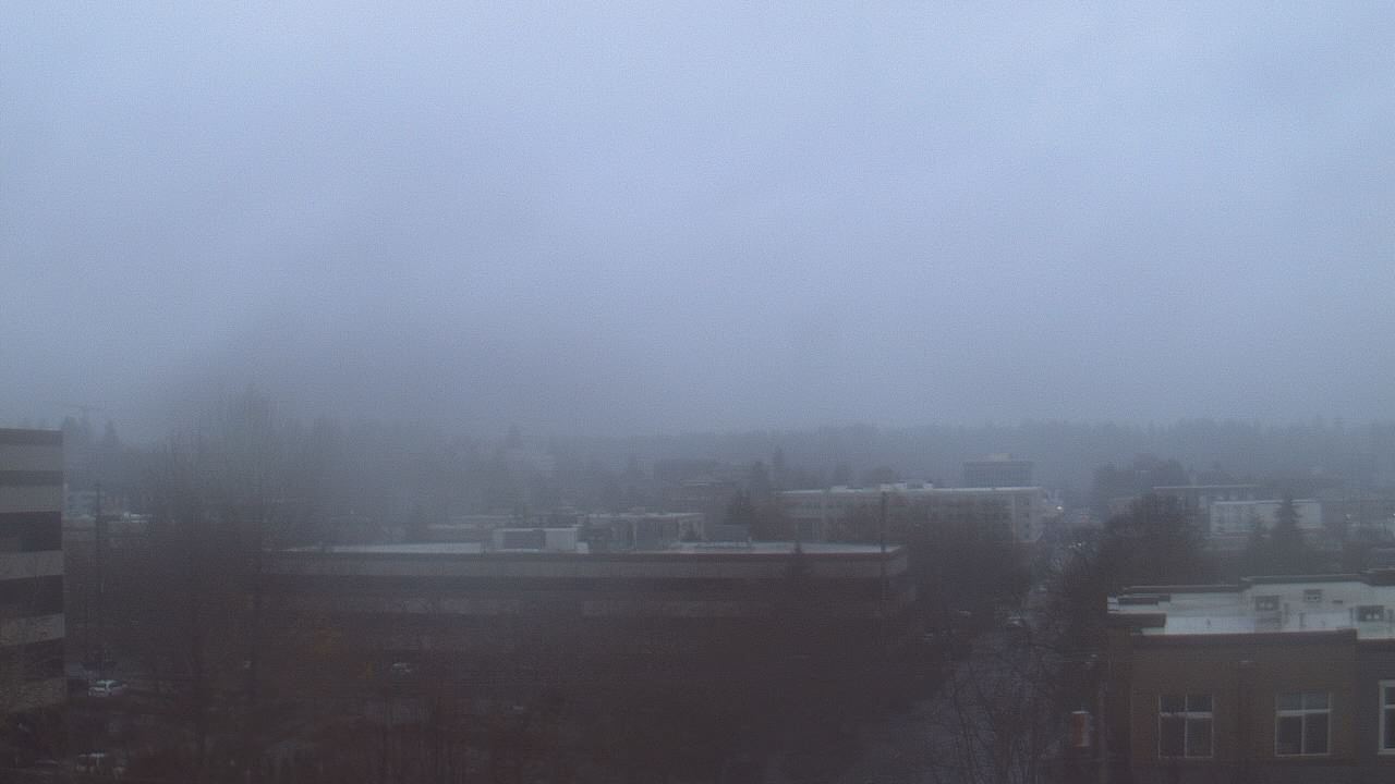 Thumbnail for current weather camera view from Avanti HS in Olympia, Washington